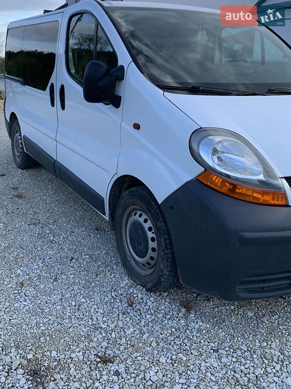Минивэн Renault Trafic 2006 в Шумске