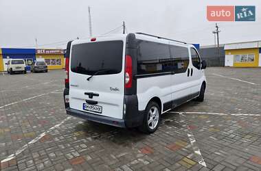 Мінівен Renault Trafic 2009 в Житомирі