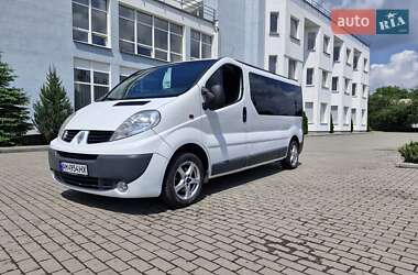Мінівен Renault Trafic 2009 в Житомирі