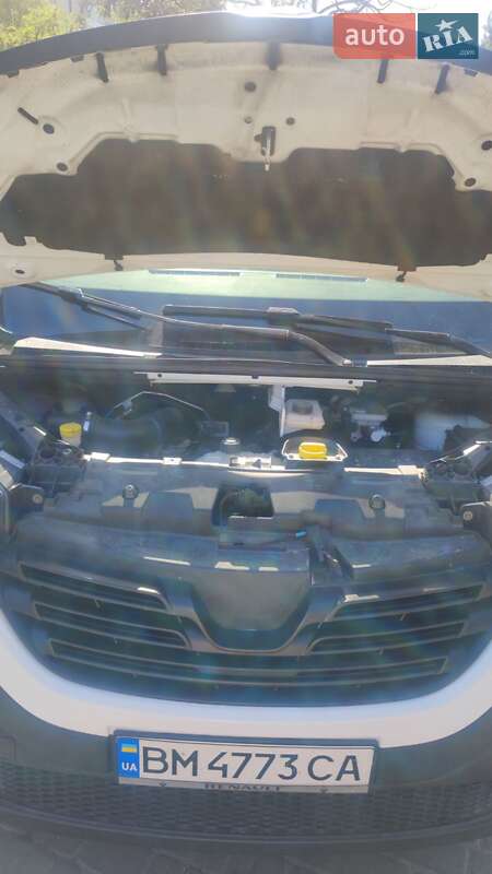 Вантажний фургон Renault Trafic 2018 в Дніпрі фото 35 Вантажний фургон Renault Trafic 2018 в Дніпрі