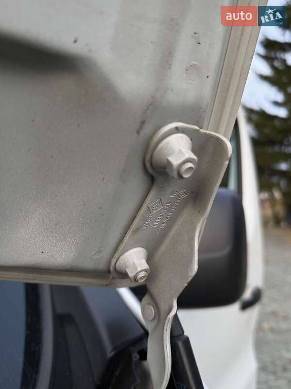 Грузовой фургон Renault Trafic 2020 в Дубно фото 50 Грузовой фургон Renault Trafic 2020 в Дубно