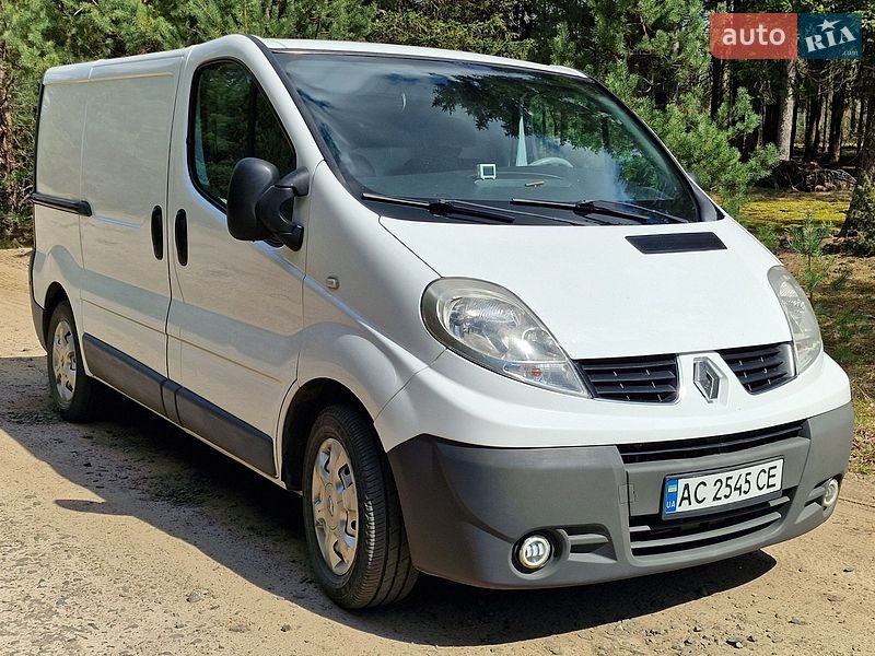 Грузовой фургон Renault Trafic 2009 в Старой Выжевке