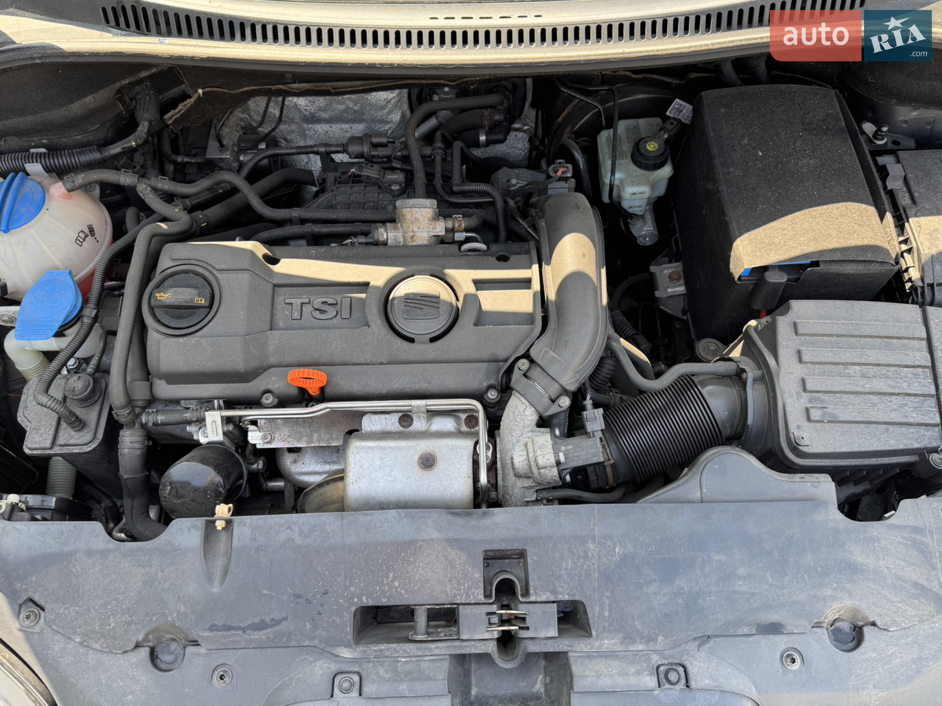 2010 SEAT Altea - мініатюра 9