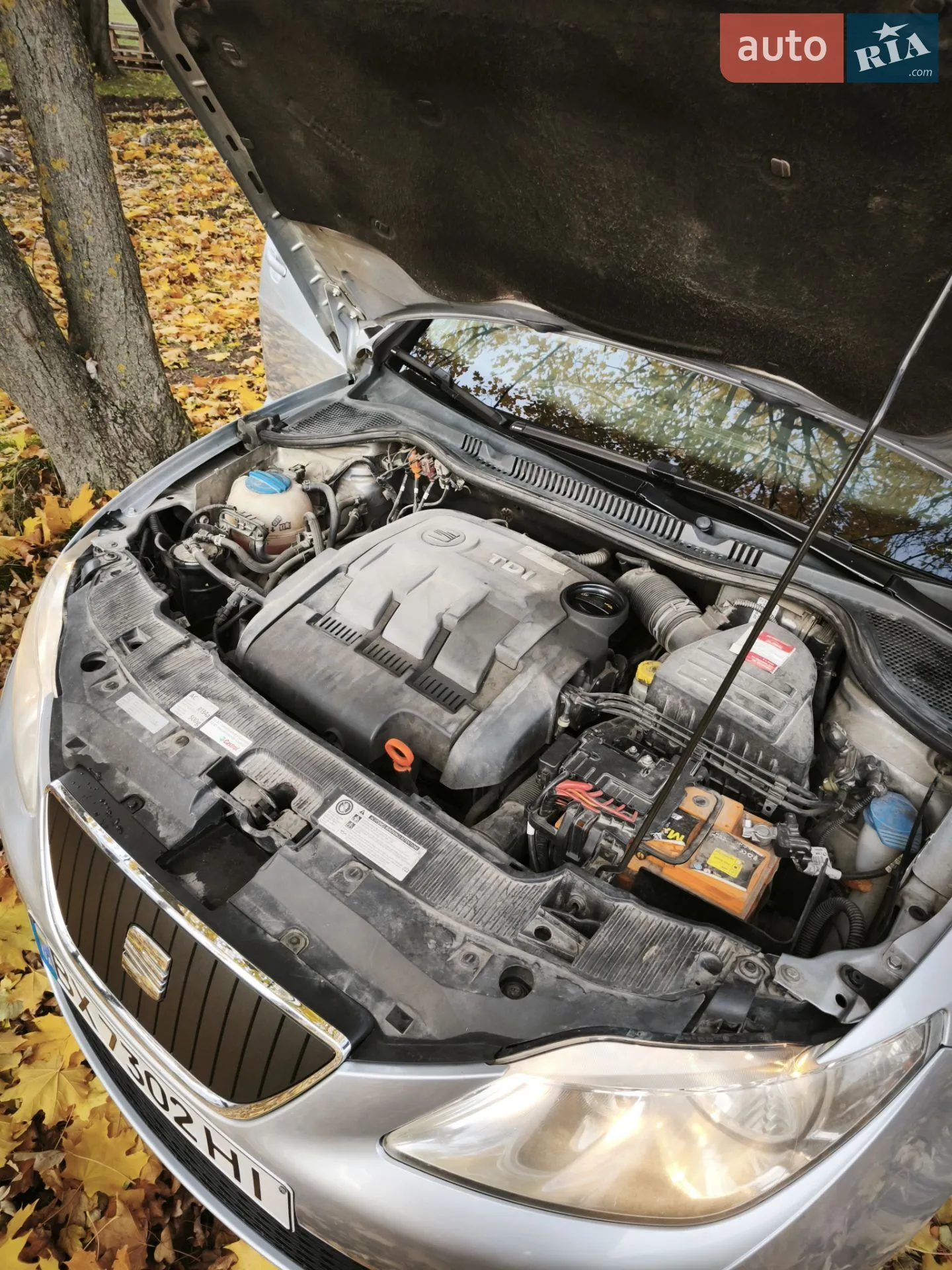 2011 SEAT Ibiza - мініатюра 5