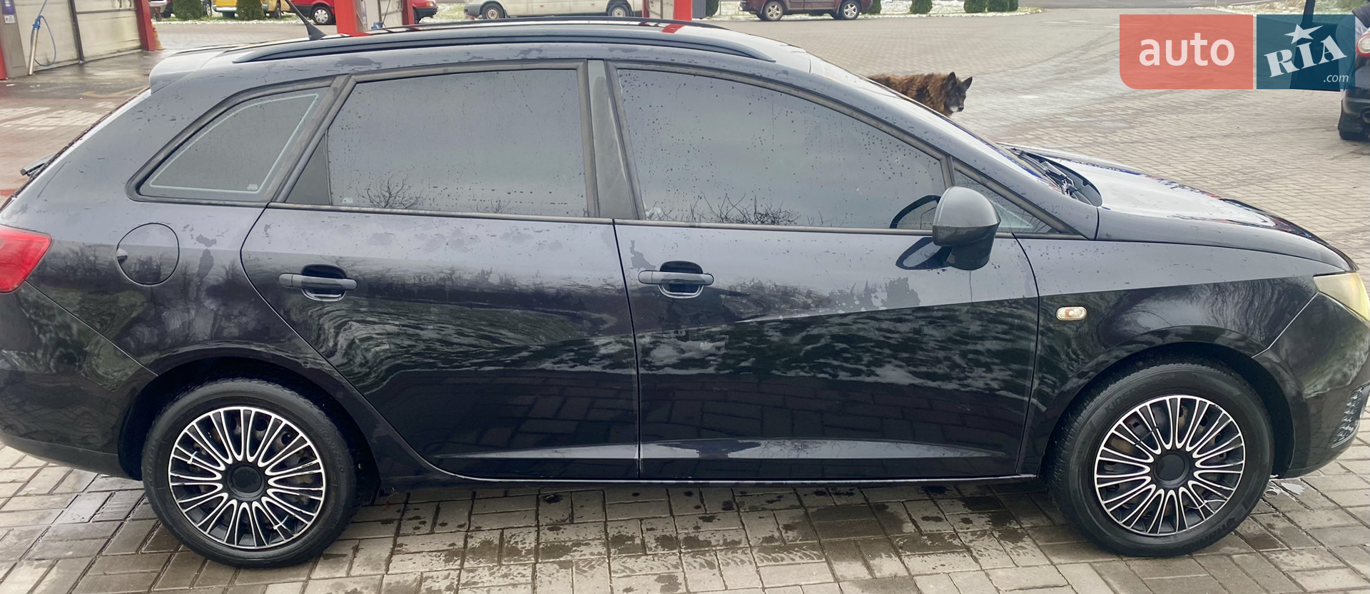 2011 SEAT Ibiza - мініатюра 6