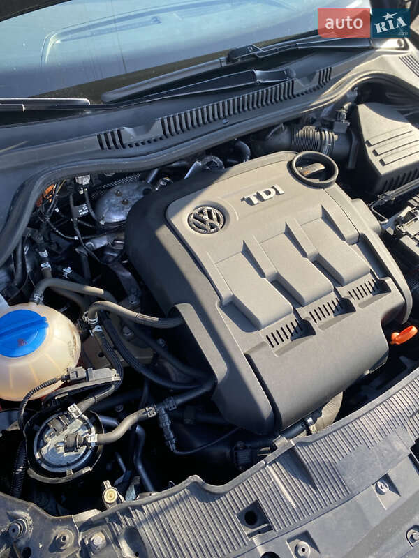 Універсал SEAT Ibiza 2011 в Звягелі