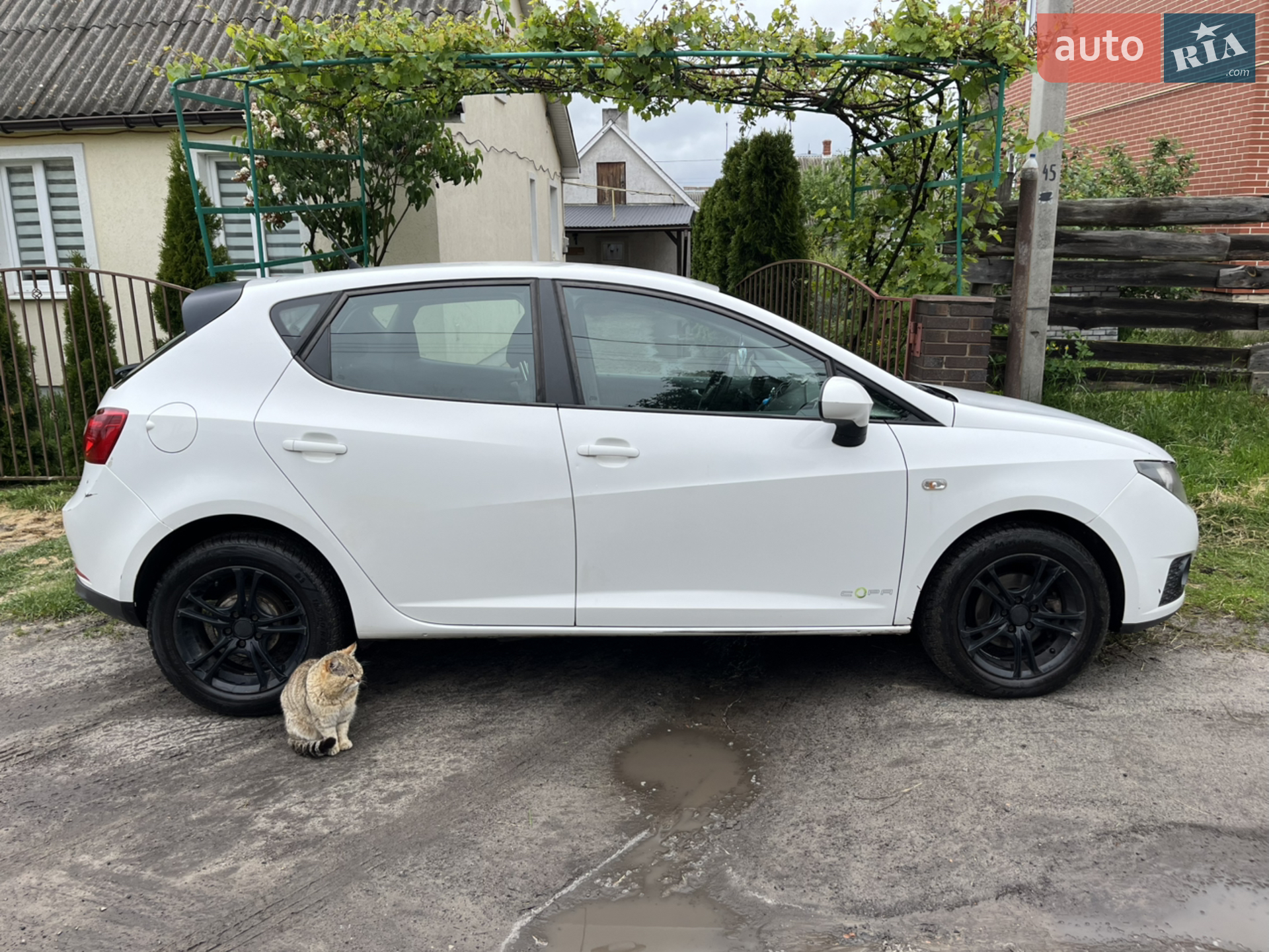 2011 SEAT Ibiza - мініатюра 10