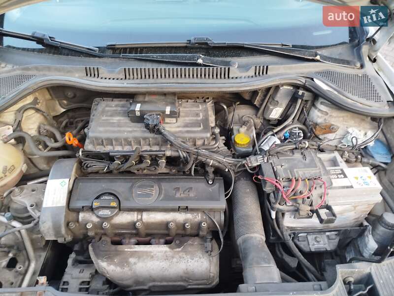 Хэтчбек SEAT Ibiza 2013 в Нежине