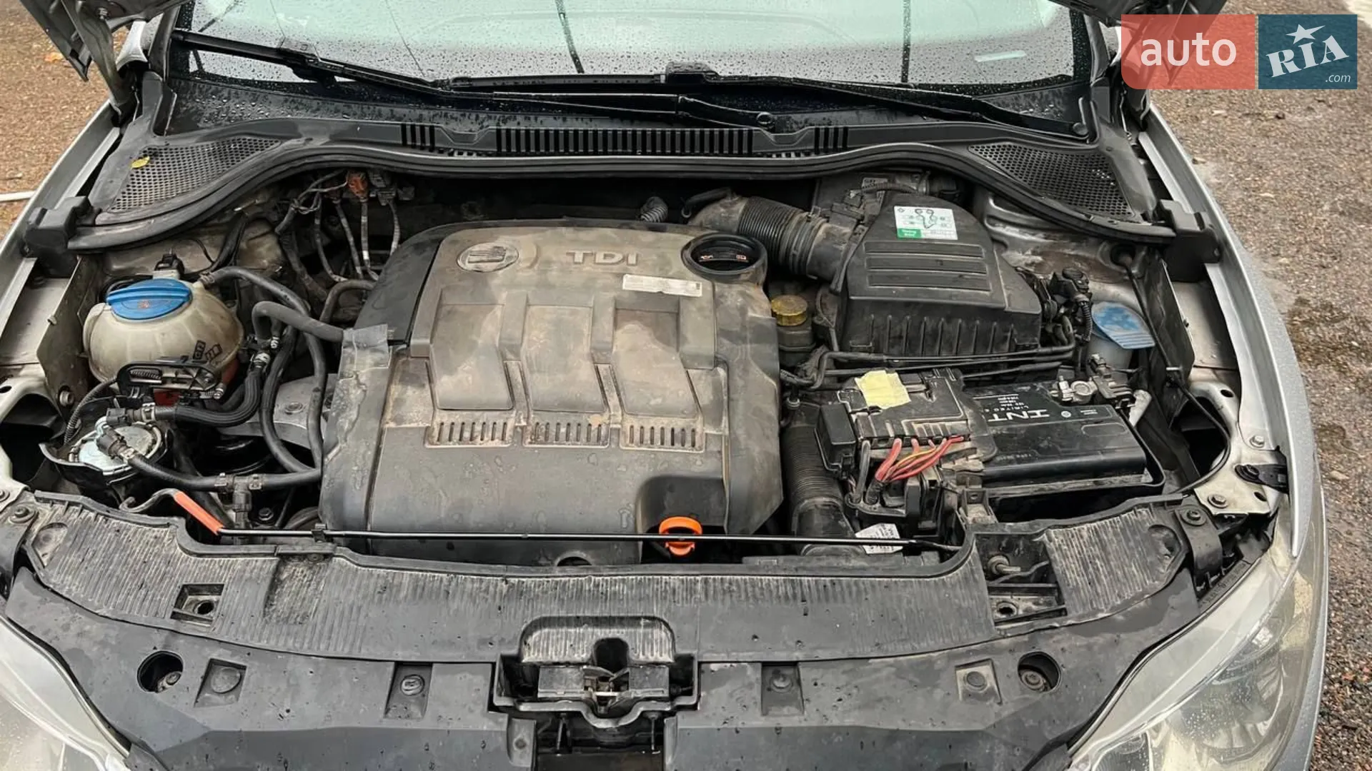2011 SEAT Ibiza - мініатюра 12