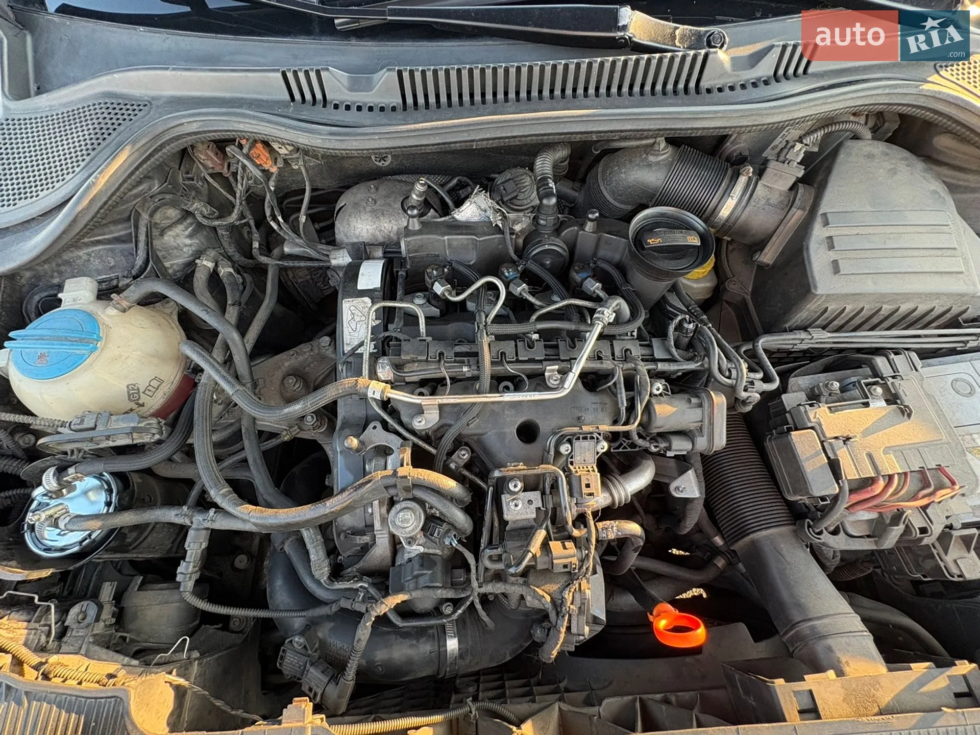 2010 SEAT Ibiza - мініатюра 25