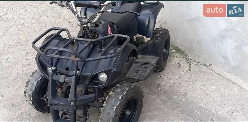 Shark 300 Titan 2019