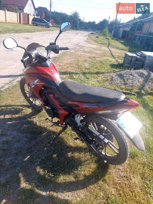 Shark ZY 2013