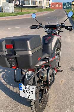 Мотоцикл Многоцелевой (All-round) Shineray Elcrosso 400 2021 в 