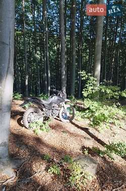 Грузовые мотороллеры, мотоциклы, скутеры, мопеды Shineray X-Trail 200 2019 в Белках