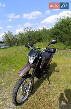 Мотоцикл Позашляховий (Enduro) Shineray XY 250GY-6C Light 2021 в 