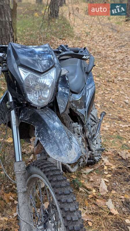 Мотоцикл Многоцелевой (All-round) Shineray XY 250GY-6C Light 2019 в Сосновке фото 2 Мотоцикл Многоцелевой (All-round) Shineray XY 250GY-6C Light 2019 в Сосновке