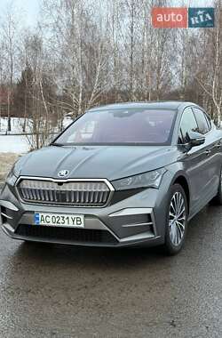 Позашляховик / Кросовер Skoda Enyaq iV 2024 в Луцьку