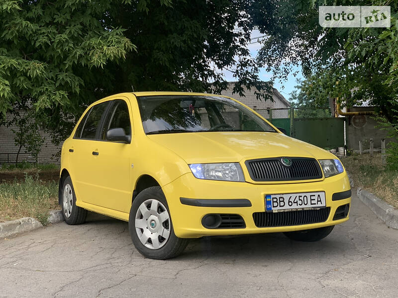 Хэтчбек Skoda Fabia 2007 в Днепре