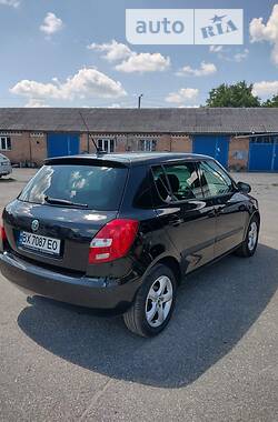 Хэтчбек Skoda Fabia 2010 в Хмельницком