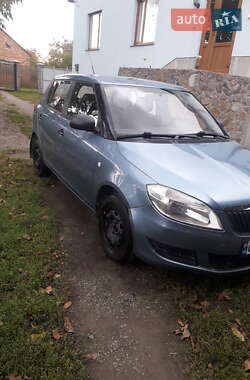 Хэтчбек Skoda Fabia 2010 в Христиновке