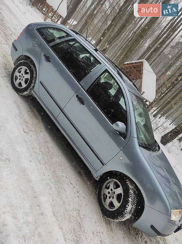 Універсал Skoda Fabia 2003 в Пустомитах