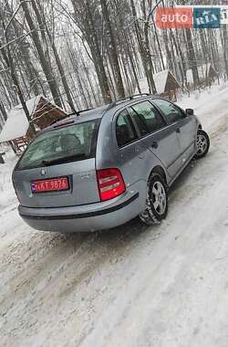 Універсал Skoda Fabia 2003 в Пустомитах