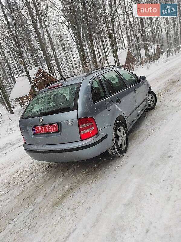 Універсал Skoda Fabia 2003 в Пустомитах