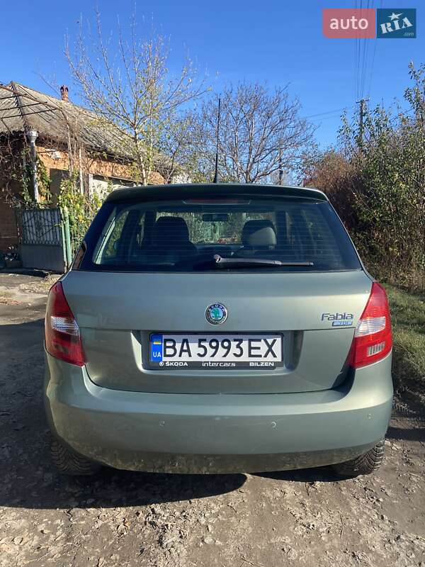 Хэтчбек Skoda Fabia 2010 в Кривом Озере