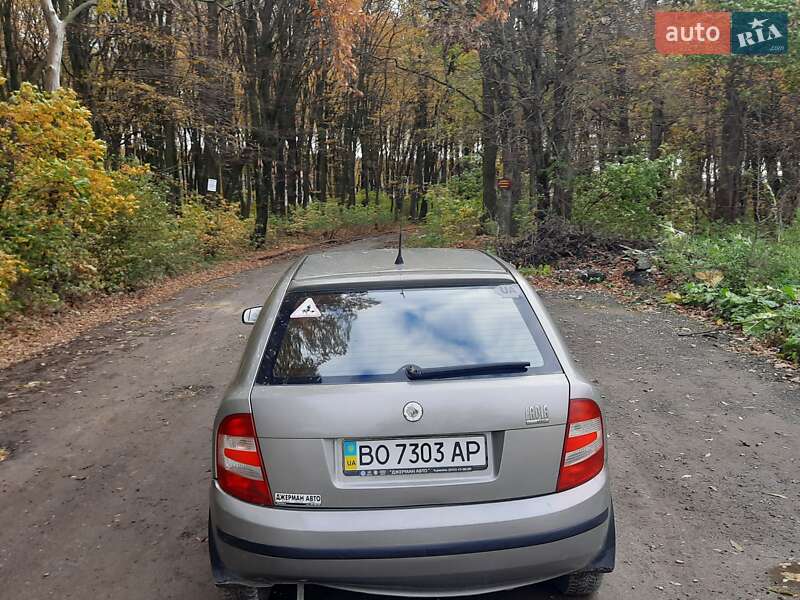 Хетчбек Skoda Fabia 2007 в Тернополі