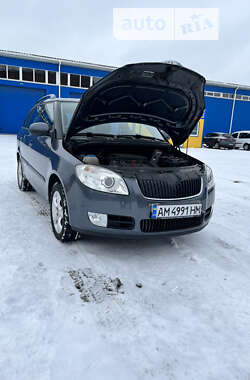 Універсал Skoda Fabia 2009 в Житомирі