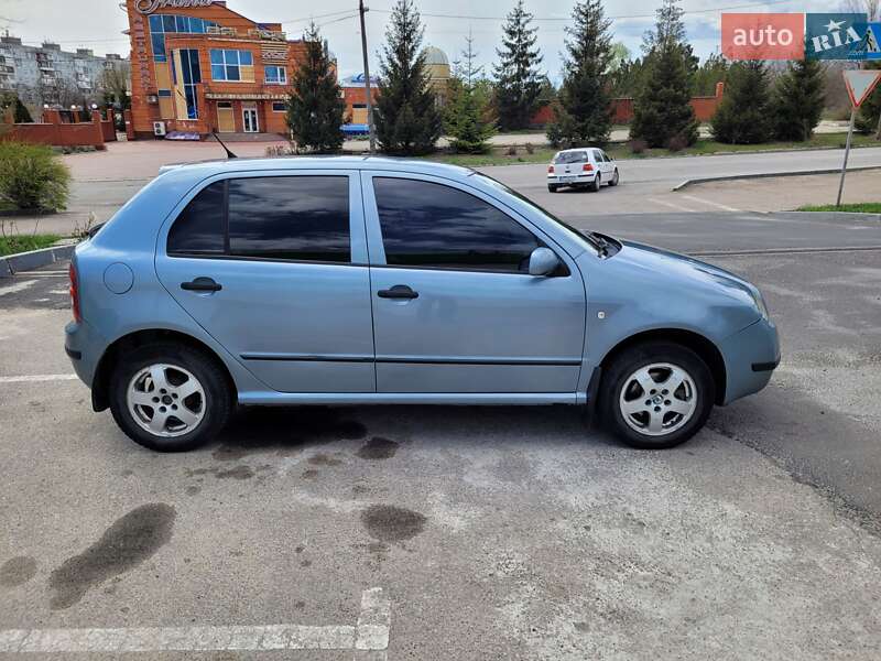 Хетчбек Skoda Fabia 2003 в Запоріжжі