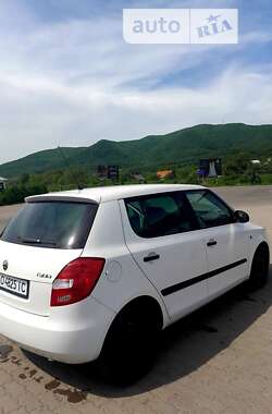 Хетчбек Skoda Fabia 2010 в Виноградові