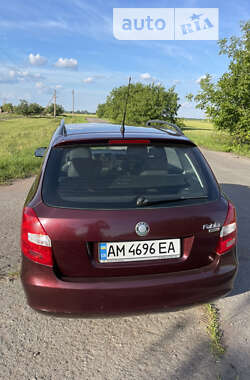 Универсал Skoda Fabia 2009 в Житомире