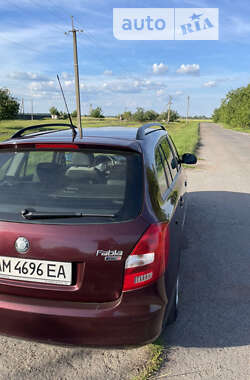 Универсал Skoda Fabia 2009 в Житомире