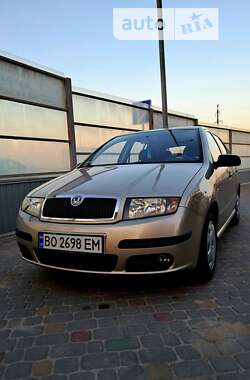 Універсал Skoda Fabia 2005 в Тернополі