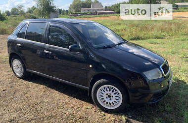 Хэтчбек Skoda Fabia 2006 в Новых Санжарах