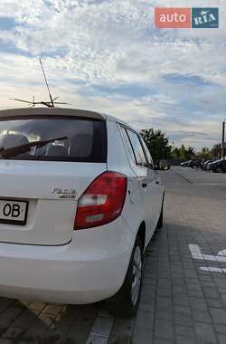 Хэтчбек Skoda Fabia 2009 в 