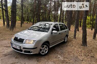 Універсал Skoda Fabia 2006 в Кропивницькому