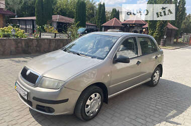 Хэтчбек Skoda Fabia 2007 в Хмельницком