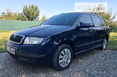 Универсал Skoda Fabia 2003 в Изяславе