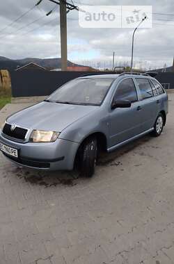 Хэтчбек Skoda Fabia 2004 в Сколе