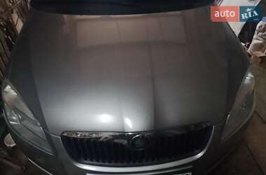 Хэтчбек Skoda Fabia 2009 в 
