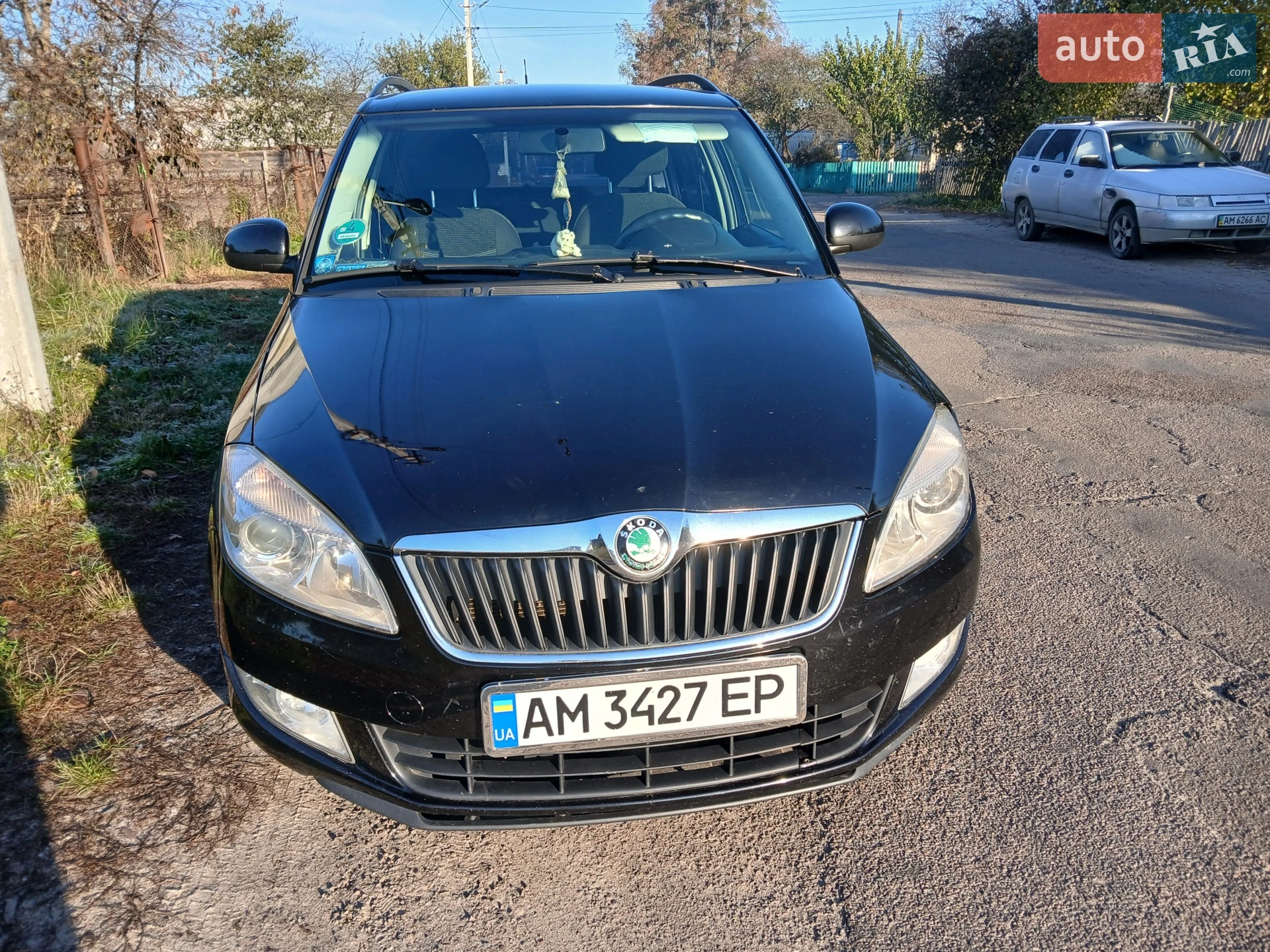 2010 Skoda Fabia - фото 1
