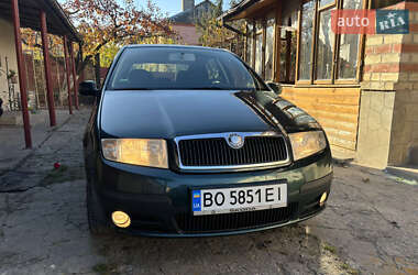 Хетчбек Skoda Fabia 2007 в Кременці