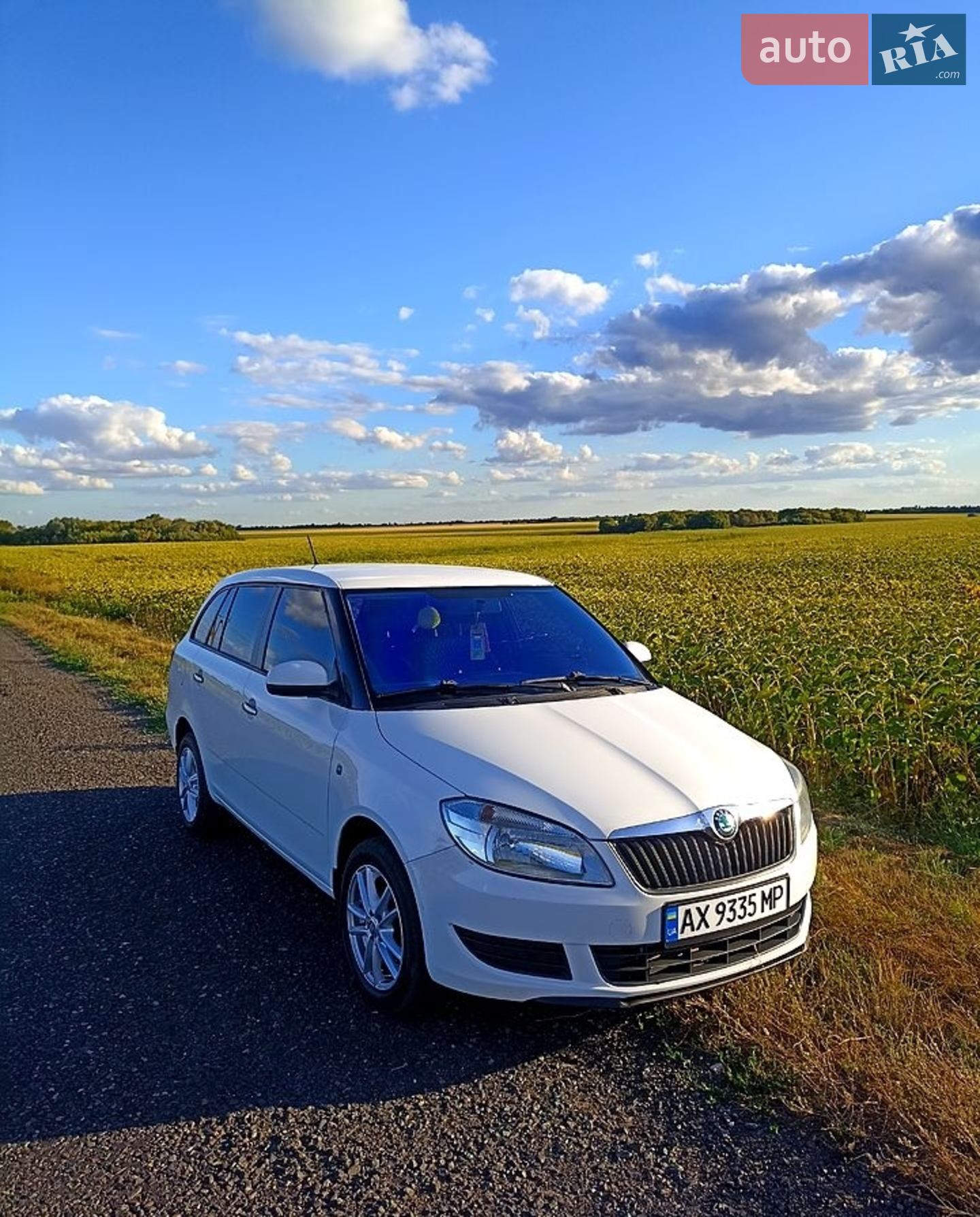 Skoda Fabia 2012 VIN TMBJS25J1D3052298 фото оголошення 4 з 8
