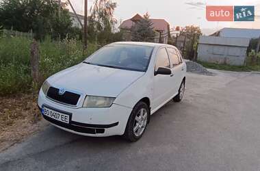 Хетчбек Skoda Fabia 2006 в Кременці