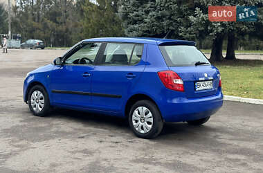 Хэтчбек Skoda Fabia 2009 в 
