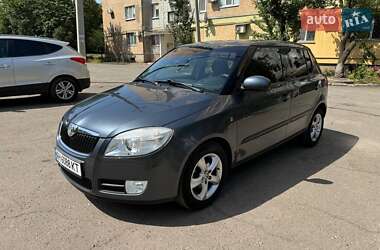 Хэтчбек Skoda Fabia 2009 в Славянске