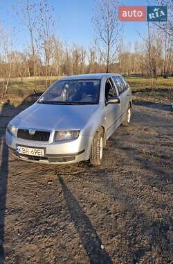 Універсал Skoda Fabia 2003 в Лимані