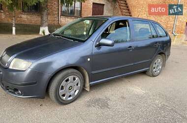 Универсал Skoda Fabia 2007 в Александровке